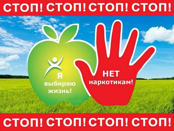 Информация о нормах действующего законодательства РФ, меры ответственности за совершение несовершеннолетними правонарушений и преступлений в сфере незаконного оборота наркотиков, а также о последствиях их потребления..